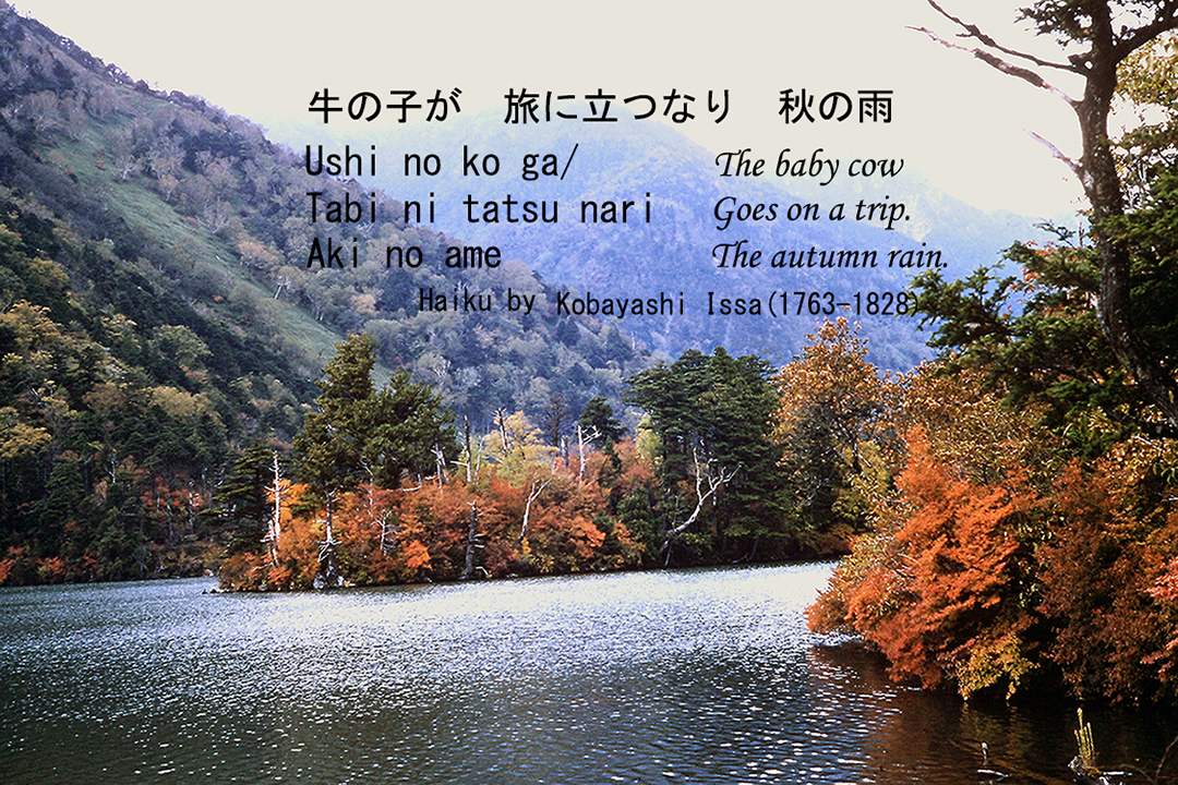 Japan 1954