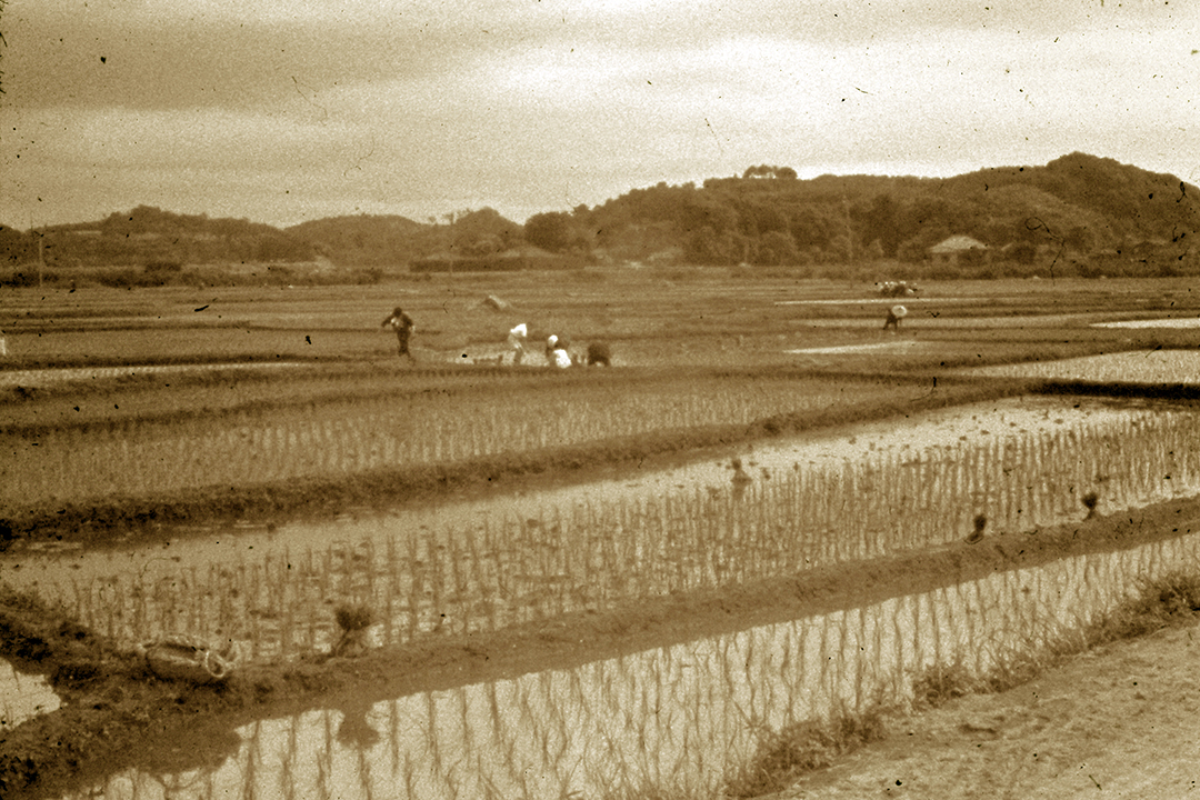 Japan 1954