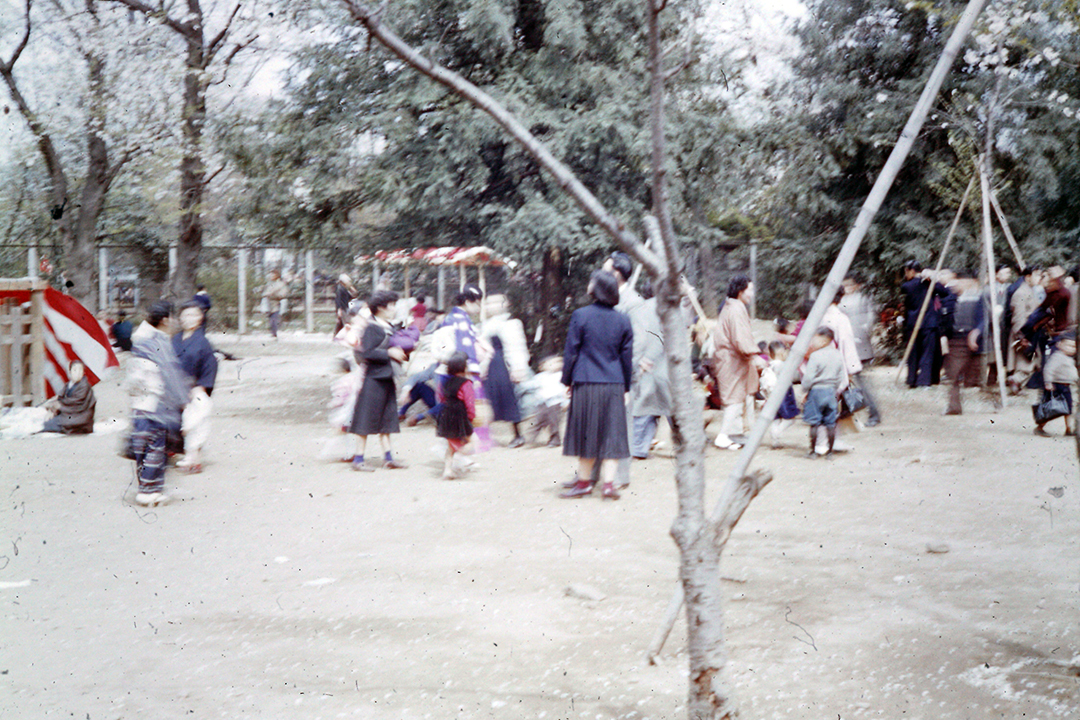 Japan 1954